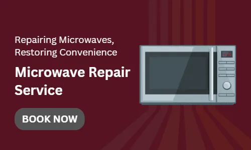 Microwave Repair
